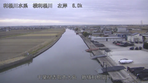 yoko2026012017_image