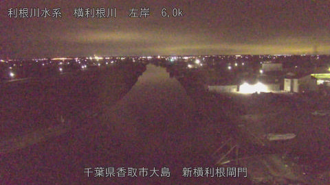 yoko2026012100_image