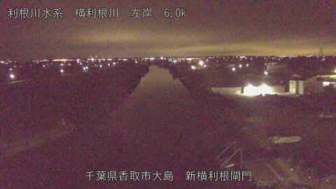 yoko2026012101_image