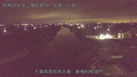 yoko2026012102_image