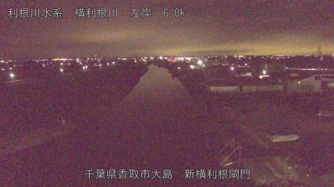 yoko2026012106_image