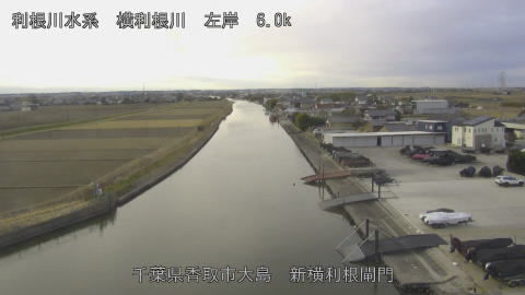 yoko2026012109_image