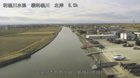 yoko2026012110_image