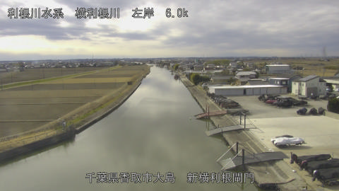 yoko2026012112_image