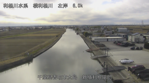 yoko2026012113_image