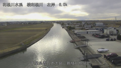 yoko2026012114_image