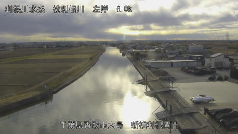 yoko2026012115_image