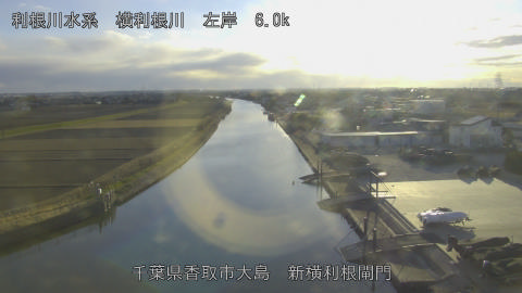 yoko2026012116_image