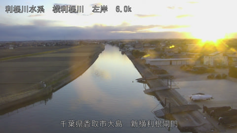 yoko2026012117_image