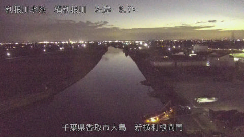 yoko2026012118_image