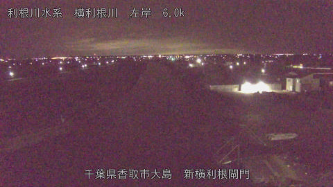 yoko2026012202_image