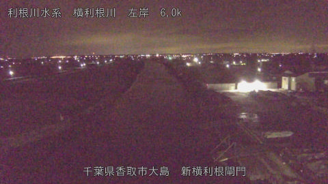 yoko2026012203_image