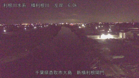 yoko2026012204_image