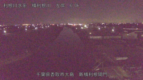 yoko2026012206_image