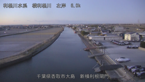 yoko2026012207_image