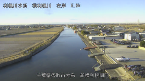 yoko2026012208_image