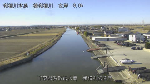 yoko2026012209_image