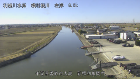 yoko2026012210_image