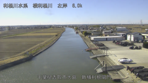 yoko2026012211_image