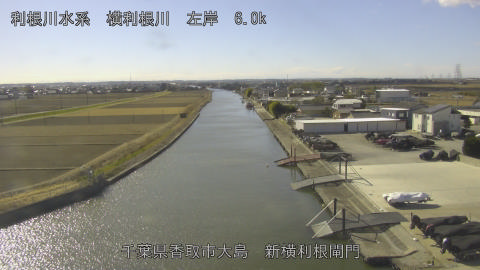 yoko2026012212_image