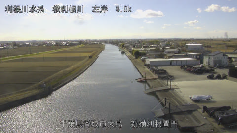 yoko2026012213_image