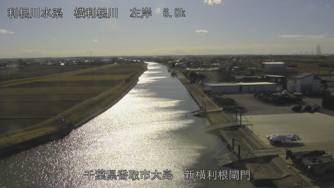 yoko2026012214_image