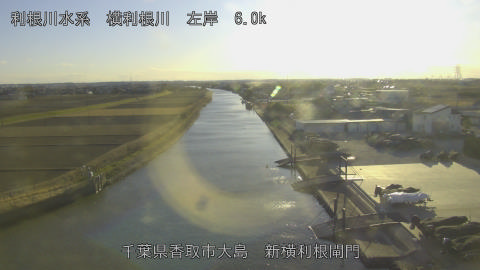 yoko2026012216_image