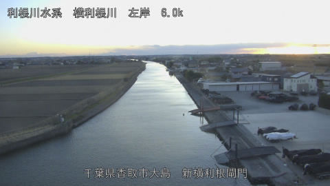 yoko2026012217_image