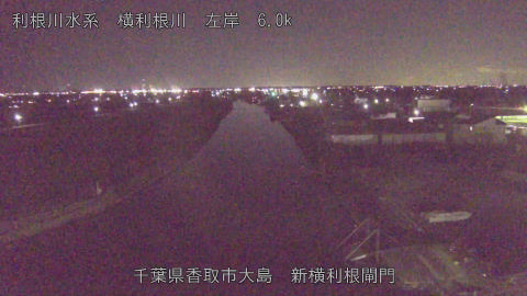 yoko2026012219_image