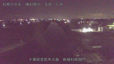 yoko2026012300_image