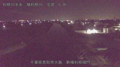 yoko2026012301_image