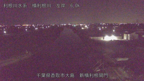 yoko2026012302_image