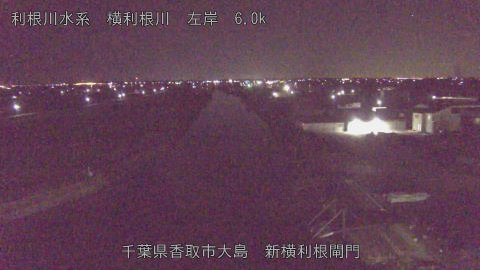 yoko2026012303_image