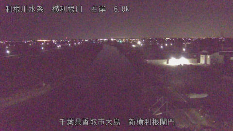 yoko2026012304_image