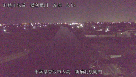 yoko2026012306_image