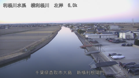 yoko2026012307_image