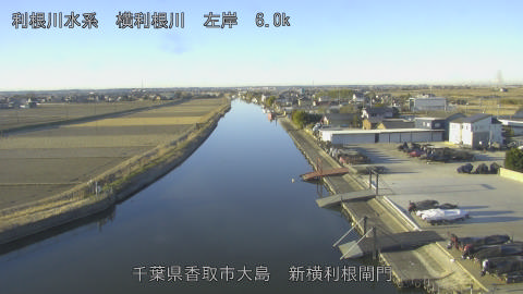 yoko2026012308_image