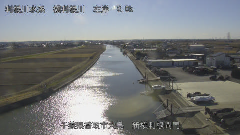 yoko2026012314_image