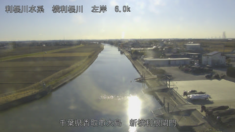 yoko2026012315_image