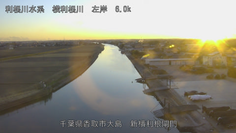 yoko2026012317_image