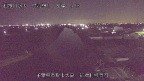 yoko2026012319_image