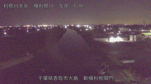 yoko2026012320_image