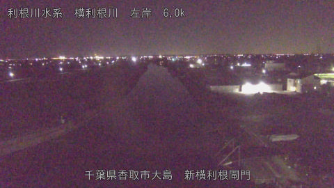 yoko2026012323_image