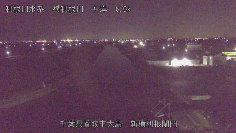 yoko2026012400_image