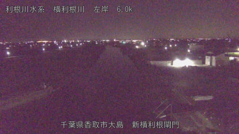 yoko2026012401_image