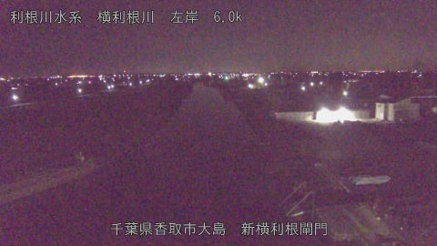 yoko2026012402_image