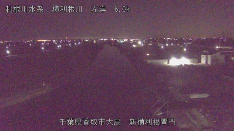 yoko2026012403_image