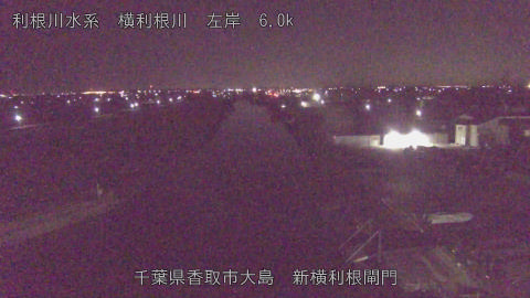 yoko2026012405_image