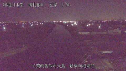 yoko2026012406_image