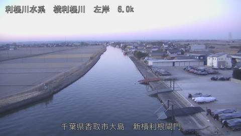 yoko2026012407_image